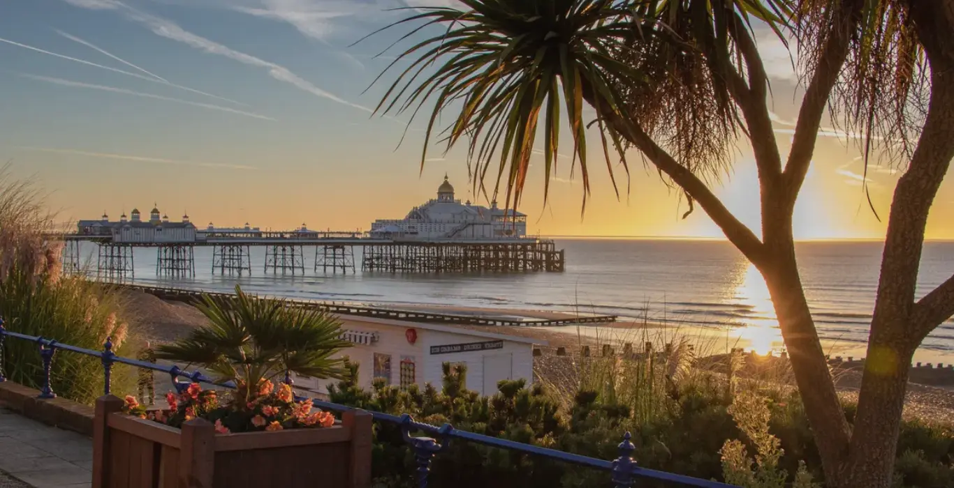 Image of Eastbourne pier and beach front at sunset sunrise with tree in foreground, home of local business supplies company Fieldskill